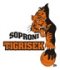hírkép24974_SoproniTigrisek.jpg