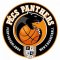hírkép25412_Pecs_Pannonpower_logo.jpg